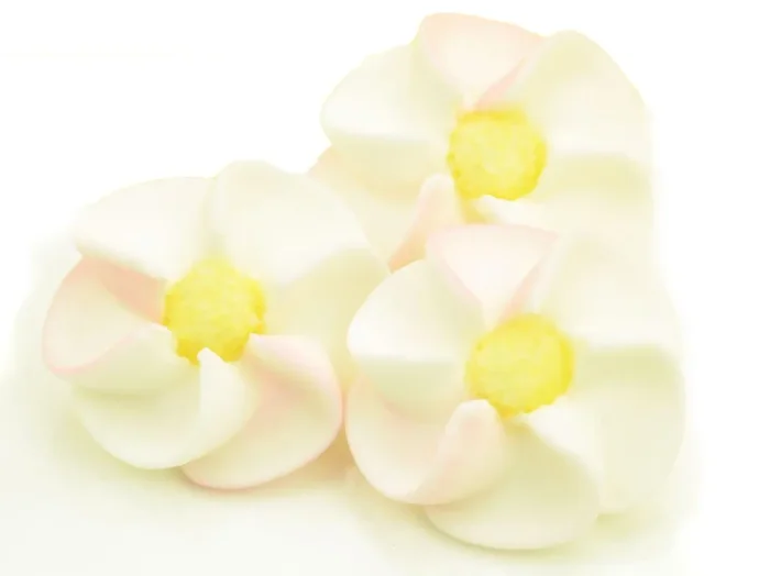 Apfelblüten weiß, rosa Zucker 9 Stück