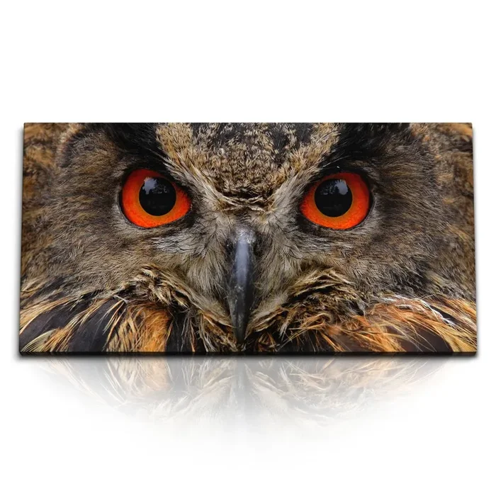 Kunstdruck Bilder Uhu Eule Porträt Gesicht Tierfotografie Natur