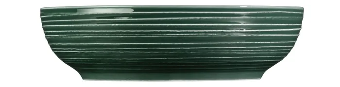 Seltmann Weiden Terra Moosgrün Foodbowls 25 cm