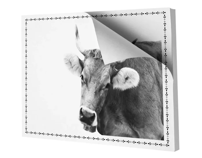 STEINLIN Papier Tischset Kuh assortiert 48 Blatt A3