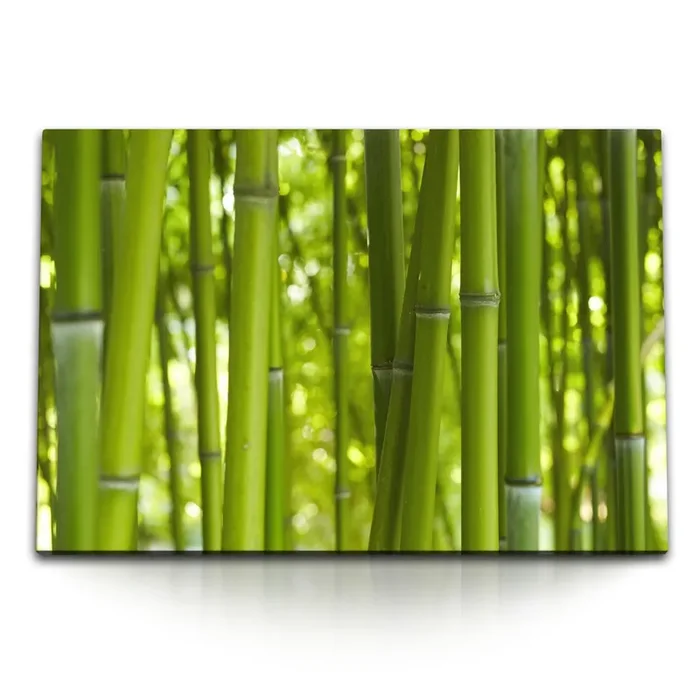 Wandbild auf Leinwand Bambus Babuswald Asien Grün Bambusrohr Kunstvoll