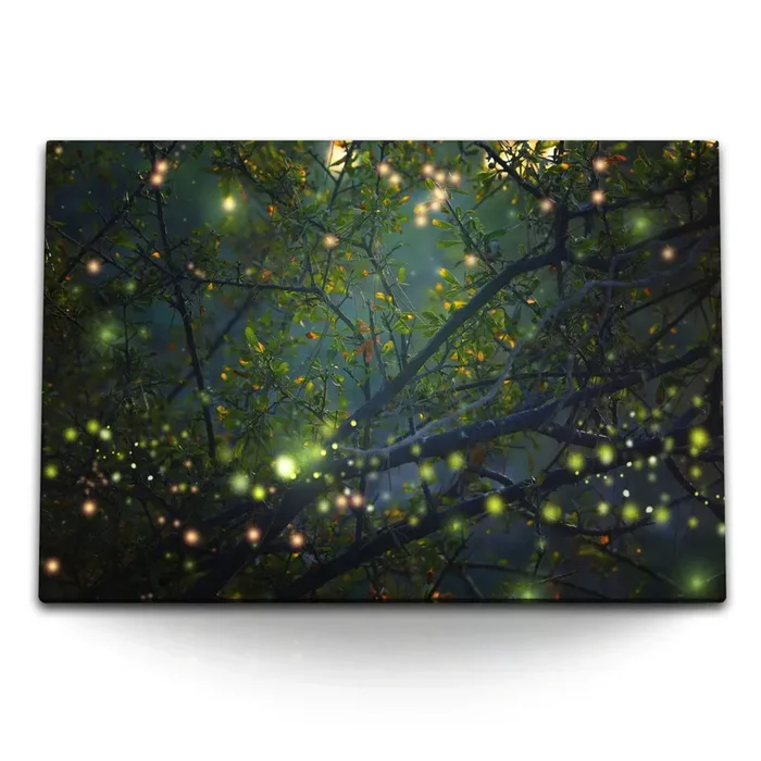 Wandbild auf Leinwand Glühwürmchen im Wald Baum Baumkrone Nacht