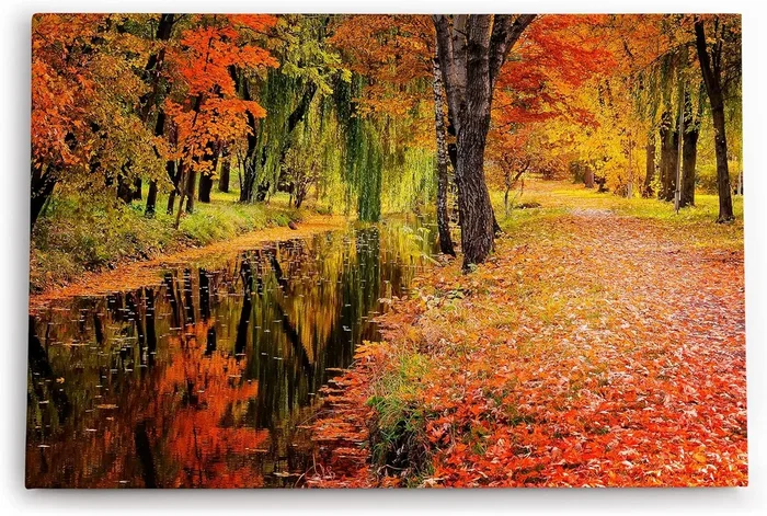 Wandbild Herbst Herbstblätter Bach Rot Natur Laub